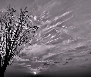 Low angle view of silhouette tree against sky