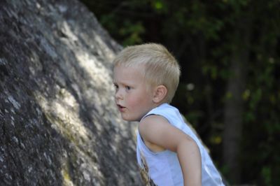 Portrait of boy looking at camera