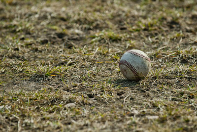 Close-up of a ball on ground