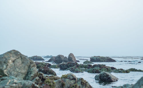 Rocks on beach against foggy sky