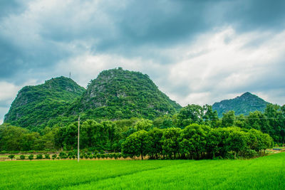 Scenic view of field against sky