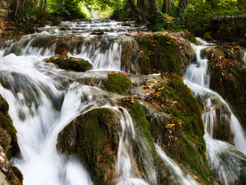 Scenic view of waterfall in forest