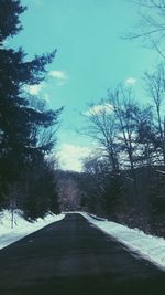 Road amidst trees against sky