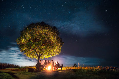 People on illuminated field against sky at night