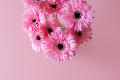 Close-up of pink flowers