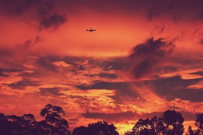 Low angle view of silhouette trees against cloudy sky during sunset