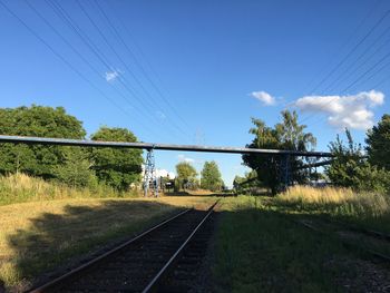 Railroad tracks amidst trees against sky