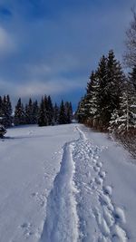 Snow covered field against sky