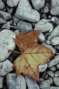 Full frame shot of stones