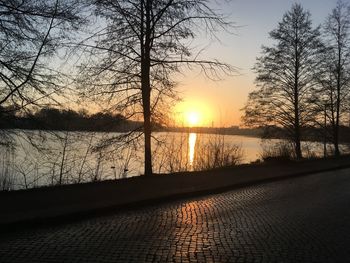 Silhouette bare trees by lake against sky during sunset