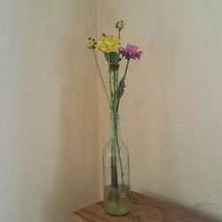 Close-up of flowers in vase