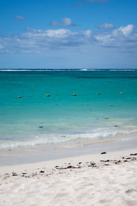 Blue wave in mauritius