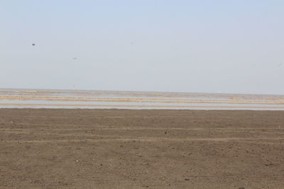 Scenic view of beach against clear sky