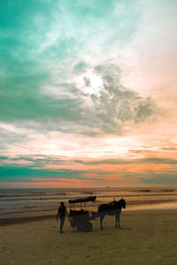 Horses on beach at sunset