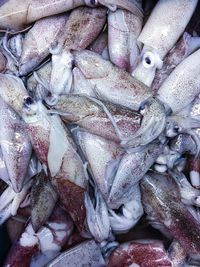 Full frame shot of fish for sale in market