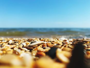 Surface level of pebble beach against clear sky