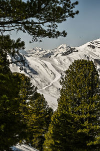 Scenic view of snowcapped mountains