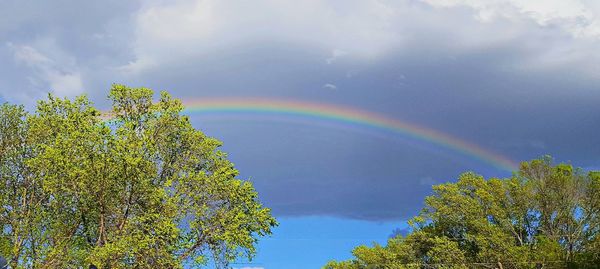 Low angle view of rainbow against sky