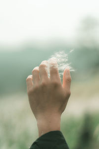 Close-up of hand holding leaf against sky