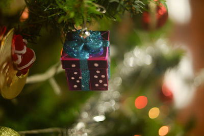 Close-up of christmas tree