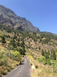 Road amidst trees and mountains against clear sky