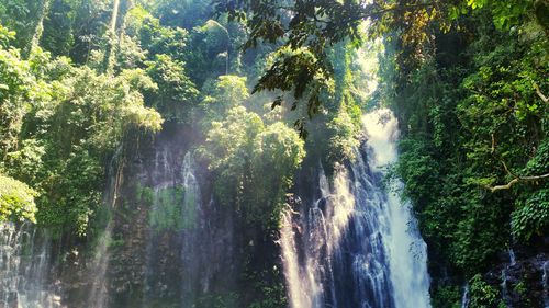 Scenic view of waterfall