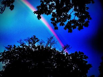 Low angle view of trees against rainbow in sky
