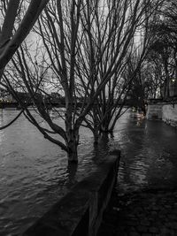 Bare trees by river against sky during winter