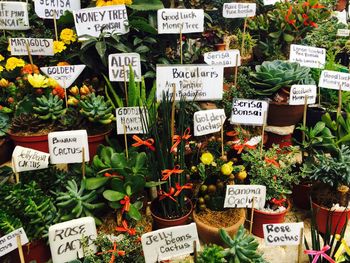 Various vegetables for sale in market