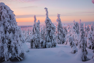 Scenic view of frozen lake against sky during sunset