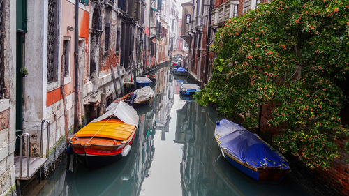 Boats moored in canal