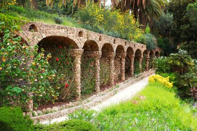 View of flowering plants and trees on bridge