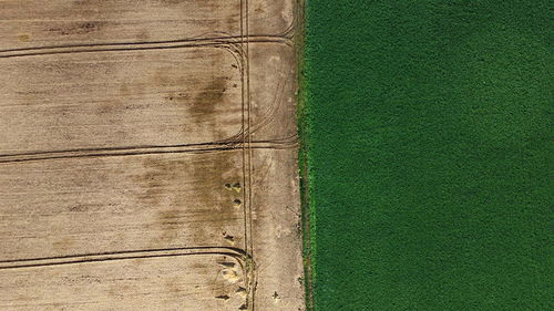 High angle view of agricultural field