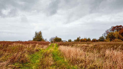 Scenic view of field against sky