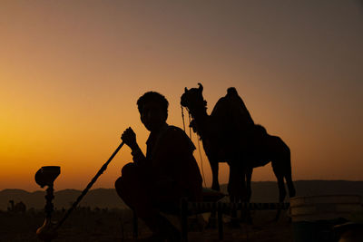camel
