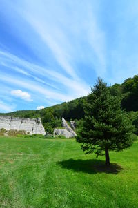 Scenic view of grassy field against cloudy sky