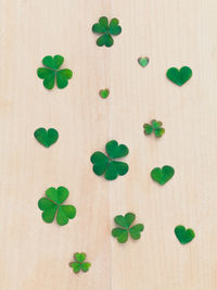 High angle view of leaves on wooden table