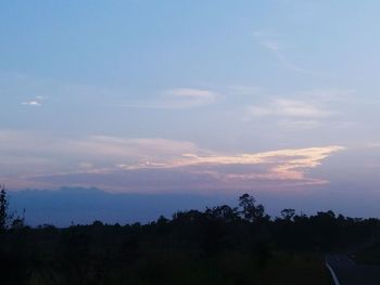 Silhouette trees against sky during sunset