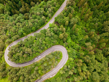 High angle view of road amidst trees