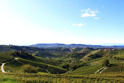 Scenic view of vinery field against sky in langhe, piedmont. where the wine grow