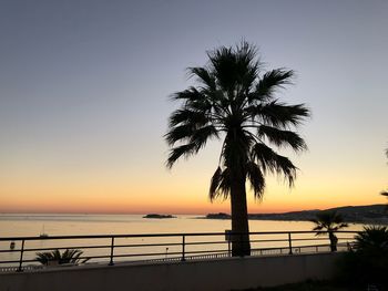 Silhouette palm tree by sea against clear sky at sunset