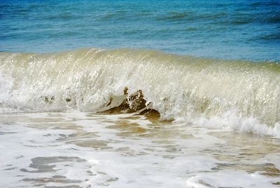 Waves splashing in sea