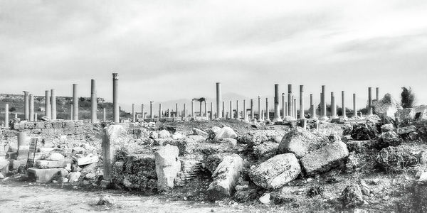 Panoramic view of wooden posts on field against sky