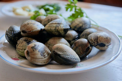 Close-up of shells in plate