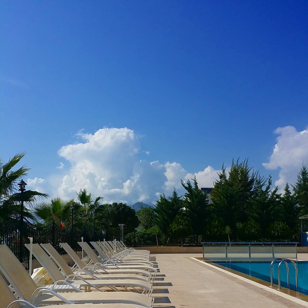 blue, tree, sky, railing, the way forward, palm tree, sunlight, cloud, built structure, nature, tranquility, day, tranquil scene, outdoors, cloud - sky, walkway, shadow, sea, scenics, growth