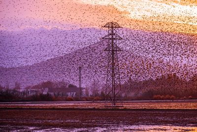 Scenic view of field against sky during winter