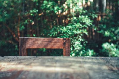 Empty bench in park