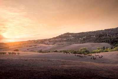 Scenic view of landscape against sky during sunset