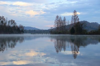 Reflection of trees in lake during sunset