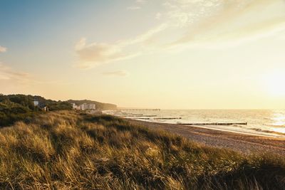 Scenic view of beach against sky